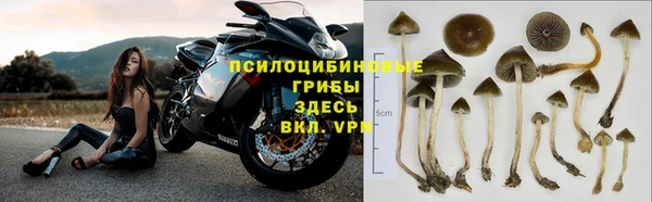 MDMA Вяземский